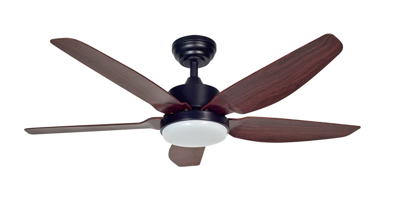 Know the Number of Blades Your Ceiling Fan Should Have