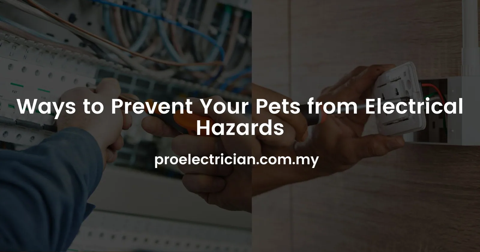 Ways to Prevent Your Pets from Electrical Hazards